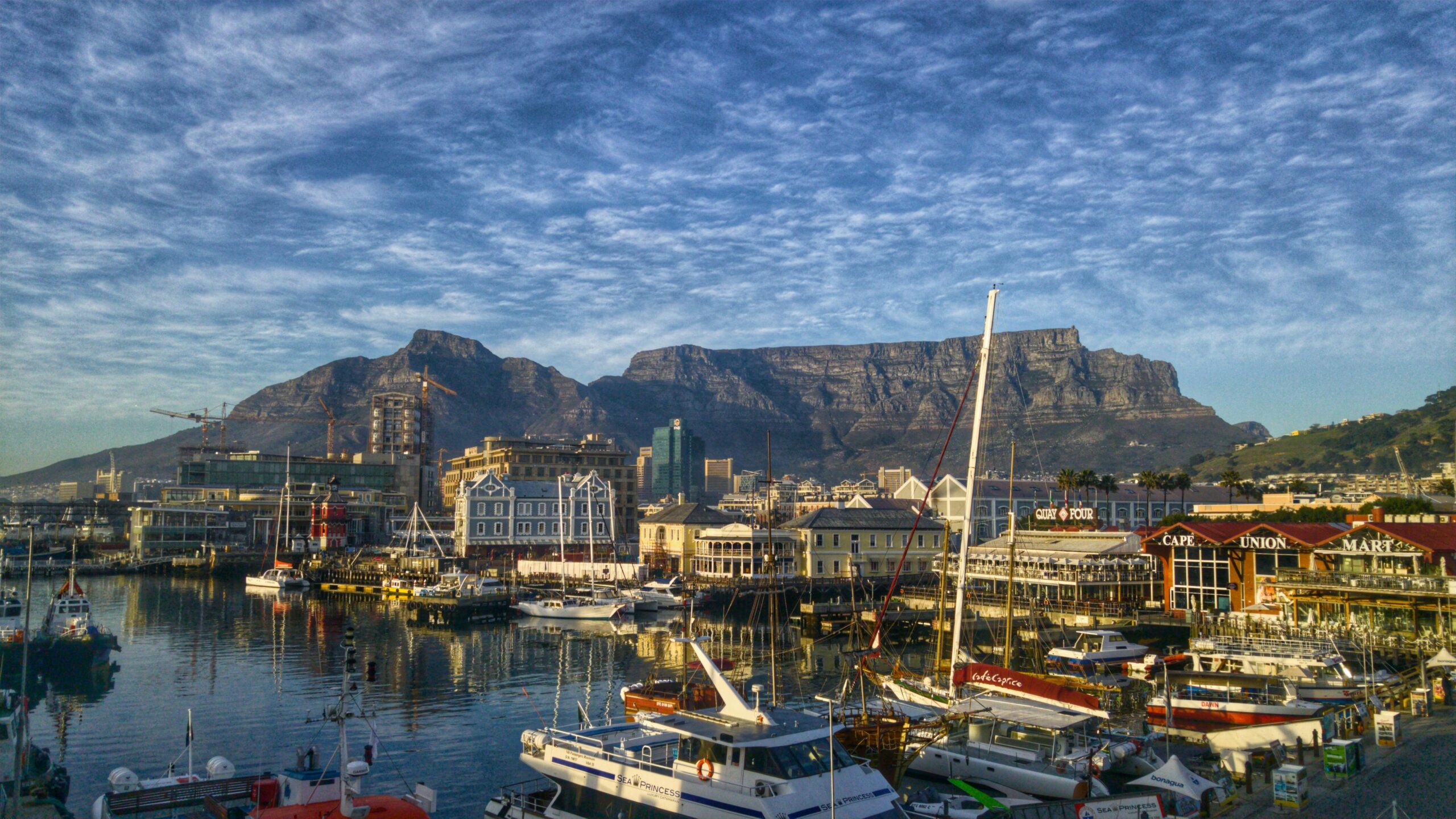 Courtside Thrills, Halloween Chills, and Hidden Trails | Your Cape Town Guide